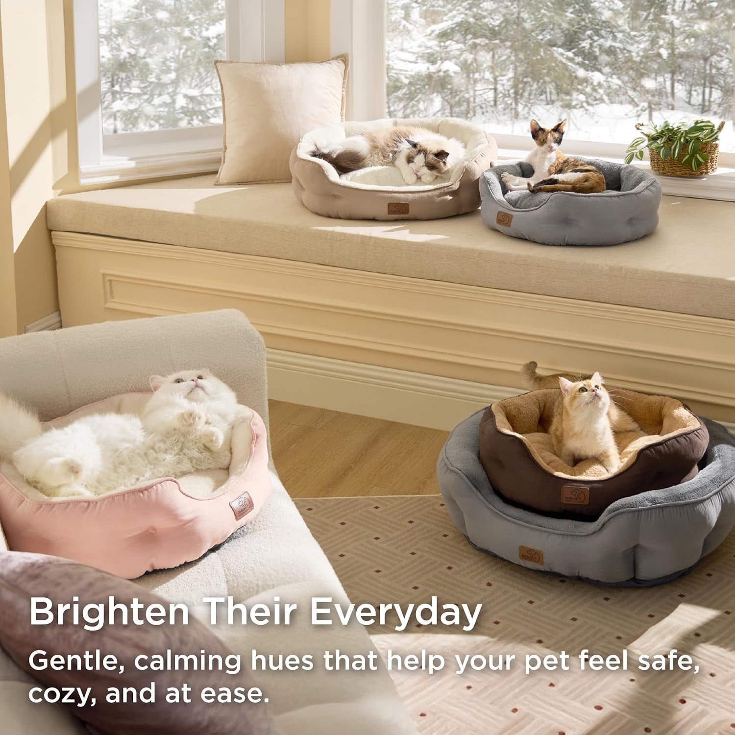 Bedsure Small Dog Bed for Small Dogs Washable - round Cat Beds for Indoor Cats, round Pet Bed for Puppy and Kitten with Slip-Resistant Bottom, 20 Inches